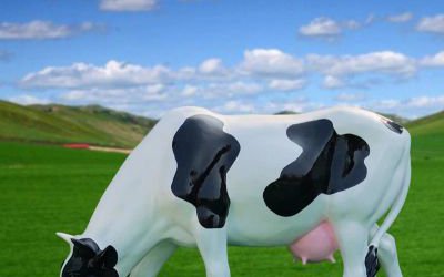 園林草坪一只在吃草的玻璃鋼卡通奶牛雕塑