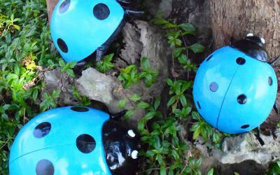 公園里擺放的玻璃鋼卡通七星瓢蟲雕塑