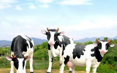 戶外池塘三只玻璃鋼仿真奶牛雕塑