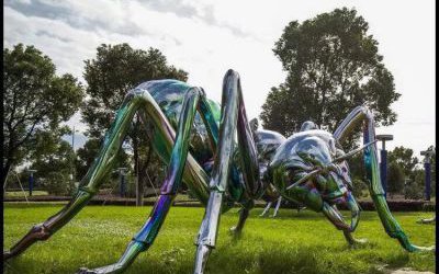 公園草地?cái)[放的大型玻璃鋼彩繪蜘蛛雕塑