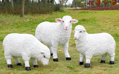 草坪上三只玻璃鋼仿真綿羊雕塑