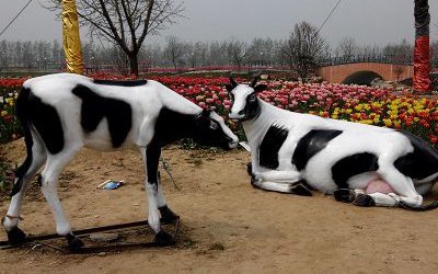 農(nóng)場(chǎng)戶外玻璃鋼仿真奶牛雕塑